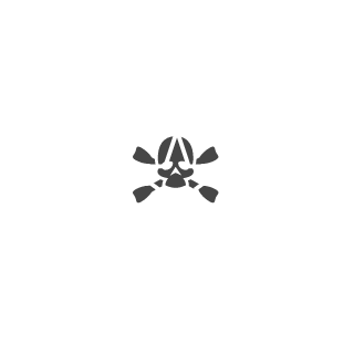 Skeletronnnn's emblem