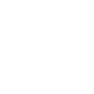 8b09a329f54688f6657fedb0c32bc02a's emblem
