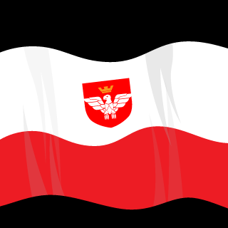 ElSoJorezzzz's emblem