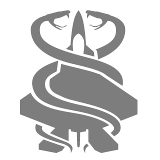 BRODZTER3343's emblem
