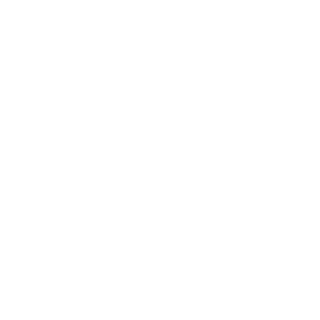 RodrigoRCRolim's emblem