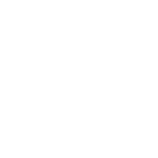 n5idious's emblem