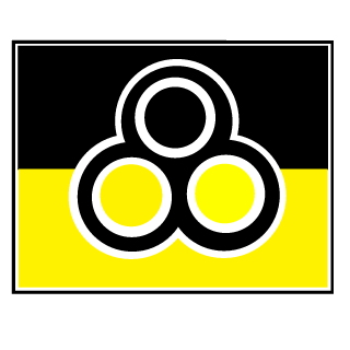 Vasya_Dortmund's emblem