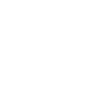 LanoB0T's emblem