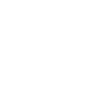 Cyberpunkerzz's emblem