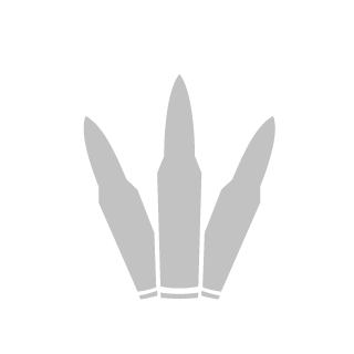 19ThePunisher70's emblem