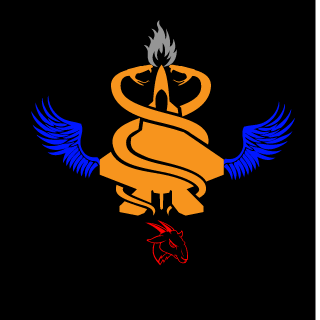 SANDMAN8540's emblem