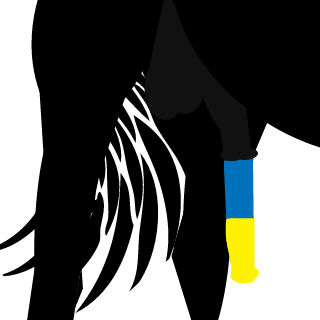 NeadekvatVnt's emblem