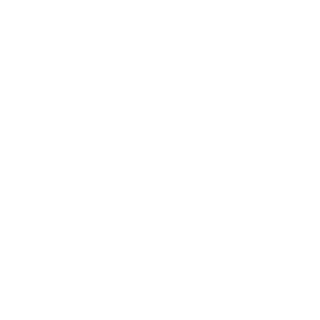 fiiya's emblem