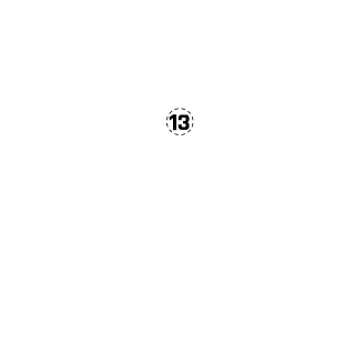kaktus_rus's emblem
