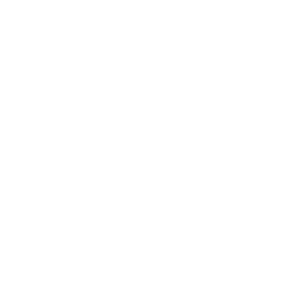 5t3pvn's emblem