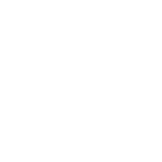 Navigon123's emblem