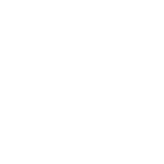 Replikator13's emblem