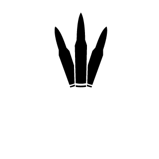 4Dcoolteen's emblem