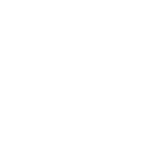 bionicdevil's emblem
