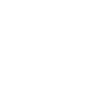 speedy30411's emblem