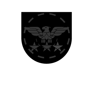 -Neo091Team6-'s emblem