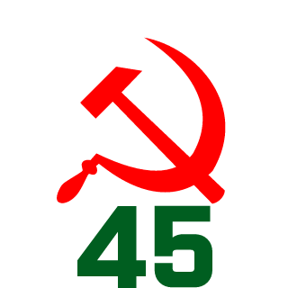 SanChes45RUS's emblem