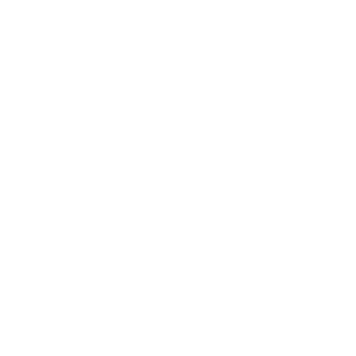 TDES_Lee1's emblem