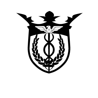 N00w's emblem