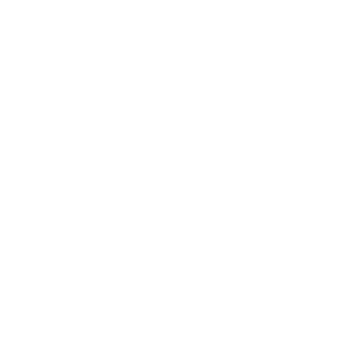 artomgguy's emblem