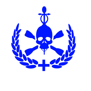 Bz-EviL's emblem