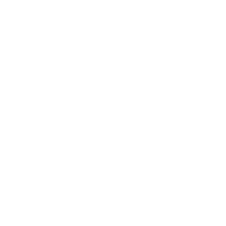 Kosmiceskiy's emblem