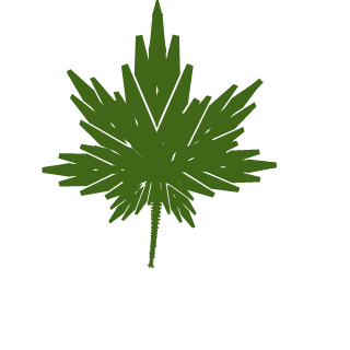 TheCampingClown's emblem