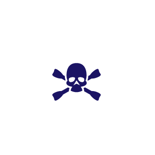 Ronneburg2's emblem