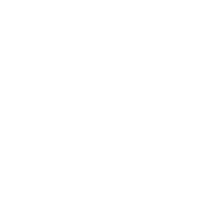 TNSWtnpk's emblem