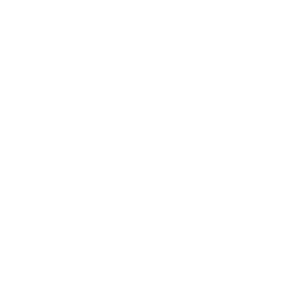 F4iRnEsS's emblem