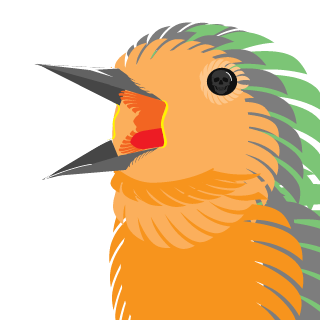 EnemyBird's emblem