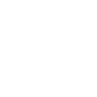 sykhoy2024's emblem