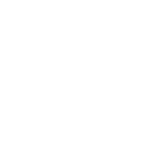 StrankX's emblem