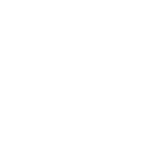 SinSPINNER80's emblem