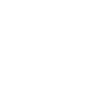 snowbars38's emblem