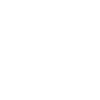 The_he1meT's emblem