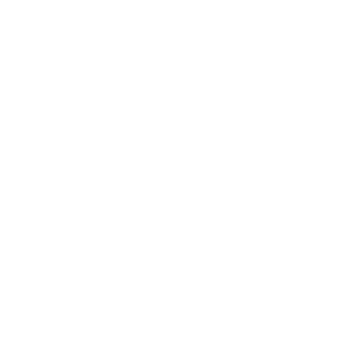 DittrichSchmidt's emblem
