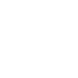 H4M05201's emblem