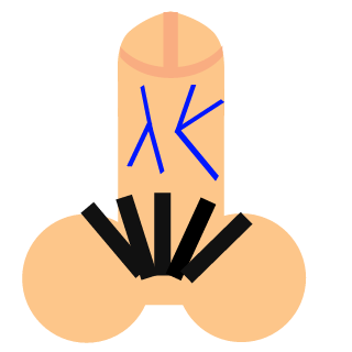 n91130epp's emblem