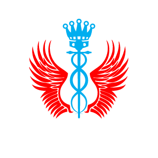 MonkeyKing560's emblem