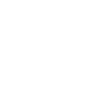A12caNA's emblem