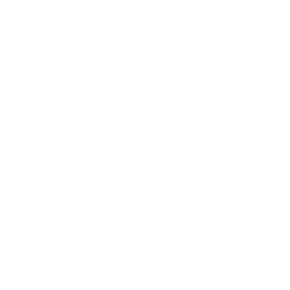 Bring Me SEIZ's emblem