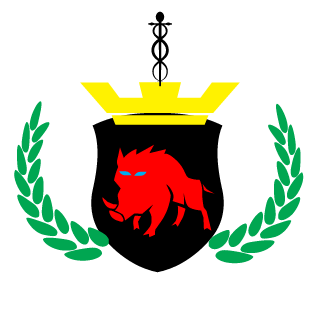 Onewing001's emblem