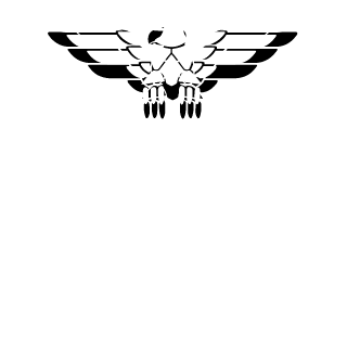 TITSurLIKEi's emblem