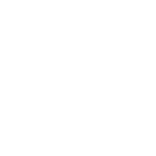 ChrisMendeS's emblem