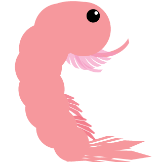 The Prawn Platoon's emblem
