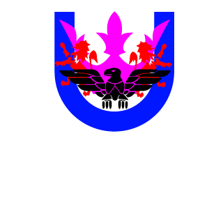 V3rtexDrag3n's emblem