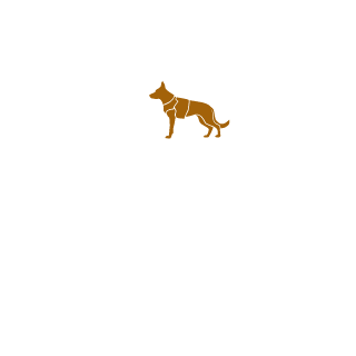 228PhOeNiX1337's emblem