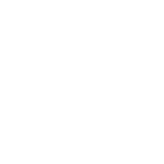 BravoBeard's emblem